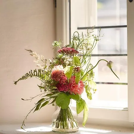 Townhouse By Frauenzimmer Homestay *
